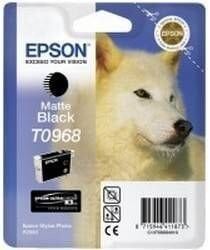 Epson T096840 Mürekkep Kartuş - 1